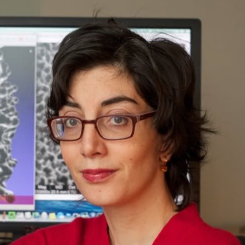 Antonia Antoniou School of Mechanical Engineering